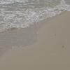gallery random image