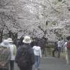 gallery random image