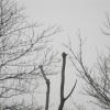 gallery random image