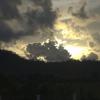 gallery random image