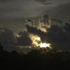 gallery random image