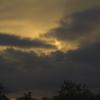 gallery random image