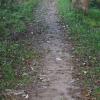 gallery random image
