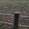gallery random image