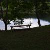 gallery random image