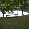 gallery random image