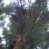 gallery random image
