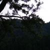 gallery random image