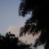 gallery random image