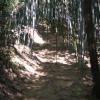 gallery random image