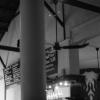gallery random image