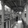 gallery random image