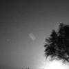 gallery random image