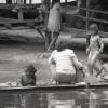gallery random image