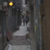 gallery random image