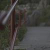 gallery random image