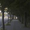 gallery random image