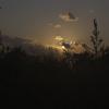 gallery random image