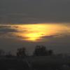 gallery random image